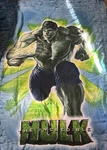 Vtg Deadstock Hulk Twin Comforter Reversible Jay Franco Marvel 68X86 2009. Fixed Price $59.99.