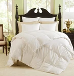 Luxurious 360 Thread Count Logana Comforter - Os King, 108" 94. Fixed Price $3634.99.