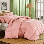 Cooling Comforter Set 2/3PCS Soft Breathable All Season Twin Queen King. Fixed Price $66.40.