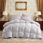 Luxury Fluffy 93% White Goose Down Fill Comforter, Silk Shell Digital Print. Fixed Price $329.99.