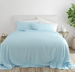 Ienjoy Chic Premium Ultra Soft Pattern 4-PC. Sheet Set, Queen Light Blue. Fixed Price $29.99.