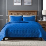 Quilt Set 2/3-PIECE Lightweight Soft Bedspread All Season Bedding Clevahome. Fixed Price $29.99.