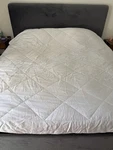 Cozy Earth Bamboo Comforter (queen). Fixed Price $188.00.