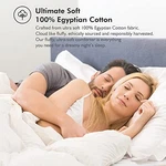 Luxurious Size Siberian Goose Down Comforter Fiber Duvet 100% Queen White. Fixed Price $227.59.