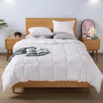 Kasentex Winter Warmth Quilted Comforter Set Queen With 2 Pillow Shams, White. Fixed Price $89.95.