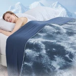 Queen Cooling Comforter Lightweight Breathable Summer Blanket Hot Sleepers. Fixed Price $31.99.