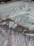Twin Simply Shabby Chic Rachel Ashwell Comforter Pink Purple Floral Ruffled Edge. Fixed Price $95.00.