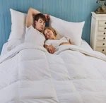 Abripedic Duet Goose Comforter Individualized Warmth Him & Her. Fixed Price $196.99.