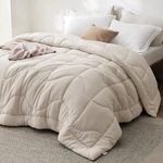 Bedsure Queen Comforters Size All Season, Ultra-soft Down. Fixed Price $59.99.