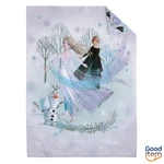 4PC Frozen 2 'royally Cool' Toddler Bed Set. Fixed Price $41.99.