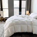 White Feather And Down Comforter Twin Size - Luxury All Season With 100% Cotton. Fixed Price $75.35.