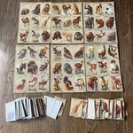 Rare Un-cut 6 Sheets 1932 Animal R-15 Plus Set -3CARDS Seepics. Fixed Price $159.00.