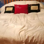Casa By Victor Alfaro White Down Queen 90"X90" Comforter. Fixed Price $99.00.