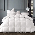 Globon Winter White Goose Comforter King Size,down Duvet Insert 60 Oz, 8.... Fixed Price $381.47.