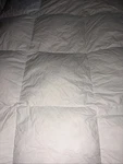 Ikea Honsbar Down Feather Duvet Insert Cream Queen Comforter Euc. Fixed Price $125.00.