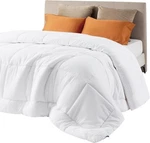Bedsure Duvet Insert Quilted Comforters Queen Size All Season. Fixed Price $46.57.
