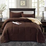 Hig 3PC Down Alternative Comforter Set - All Season Reversible With. Fixed Price $61.99.