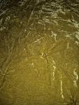 Opalhouse Crushed Velvet Tufted Chartreuse Green Comforter Bedding Queen. Fixed Price $149.00.