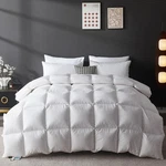Lovsoul Goose Feather Down King Comforter 1200TC 750FP. Fixed Price $179.99.
